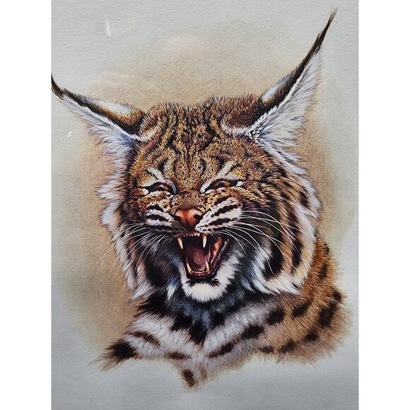 Jim Oliver Kentucky Wildcat Lithograph Plate 32 Signed Embossed Framed Art - Picture 2 of 12